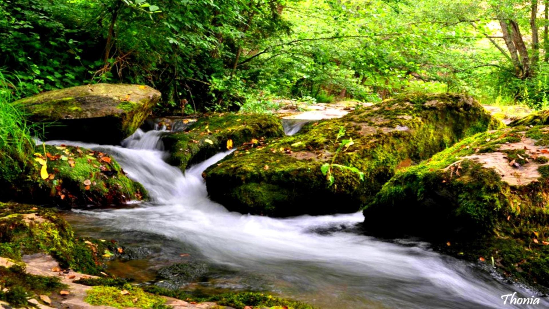 Can Manen Кампродон Экстерьер фото
